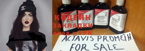 шишки Богданович