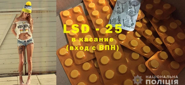 гашик Няндома
