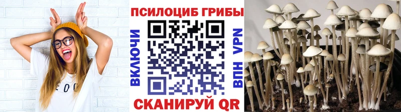 Псилоцибиновые грибы ЛСД  кракен зеркало  Дегтярск 
